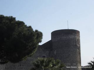 stello Ursino-17-03-2014 19-33-58